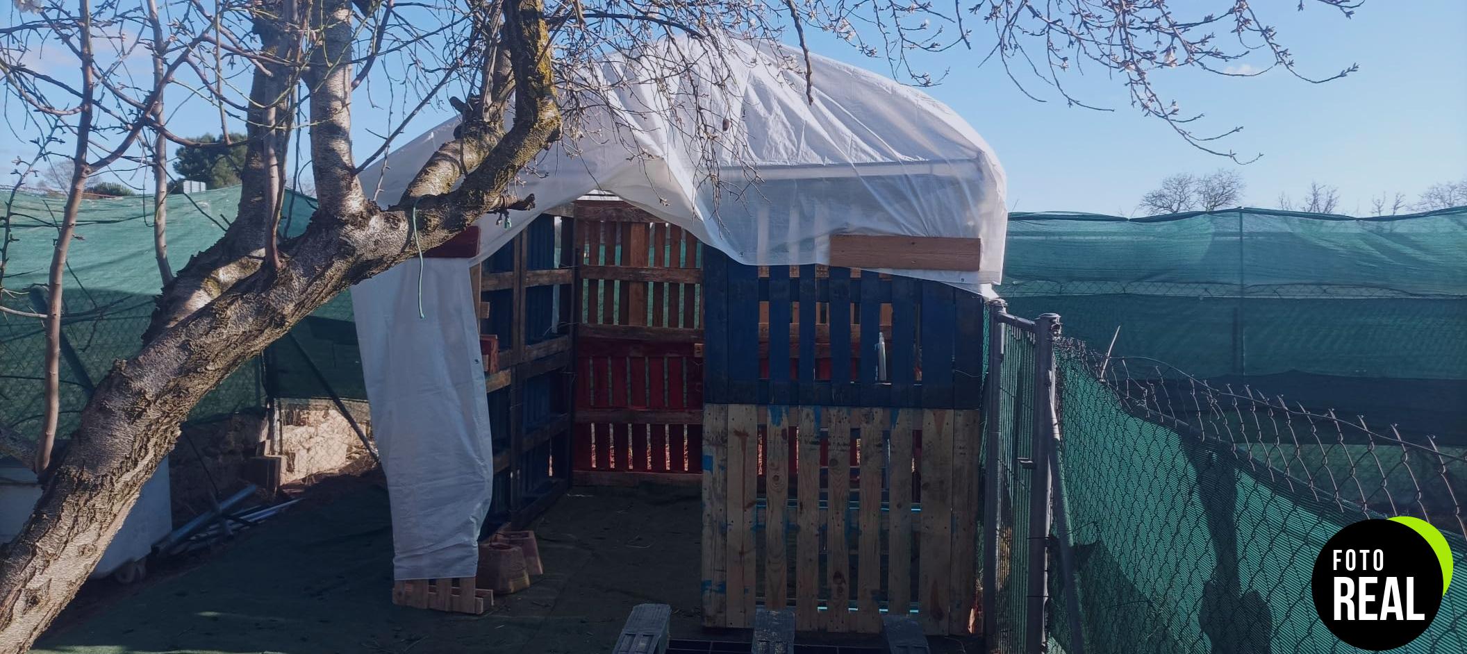 toldo-jardin-reforzado-3x4m-blanco-foto-3